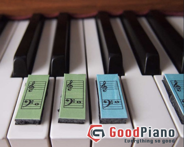 Chọn mua đàn Grand Piano hay mua Upright Piano ?