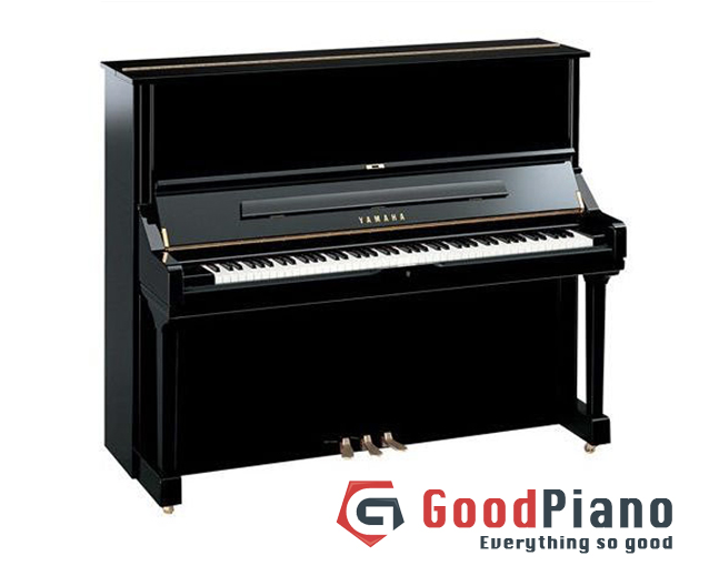 Đã chọn Piano Upright thì phải Yamaha U3H