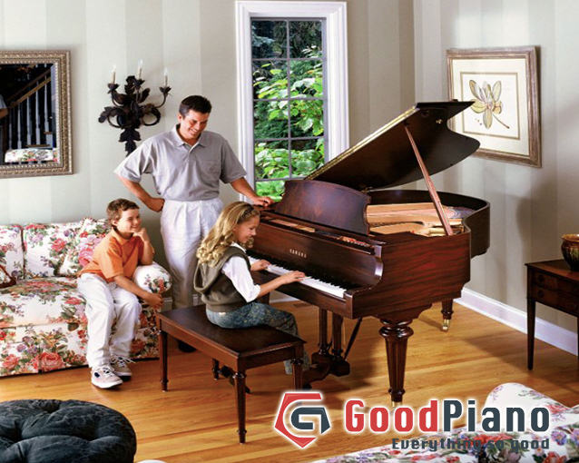 Giá đàn piano, không hề đơn giản như bạn nghĩ