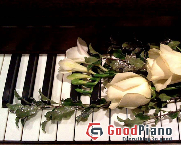 Những điều cần lưu ý khi mua piano ở Đà Nẵng