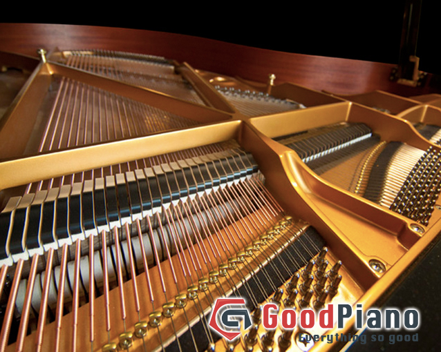 Kinh nghiệm chọn đàn Piano phần 1