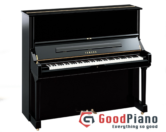 Yamaha U3 Piano - Dòng đàn Upright phổ biến nhất hiện nay