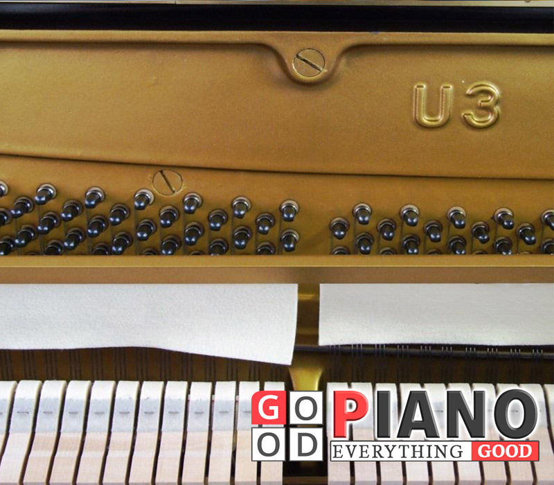 Tra năm sản xuất đàn piano dựa vào số serial