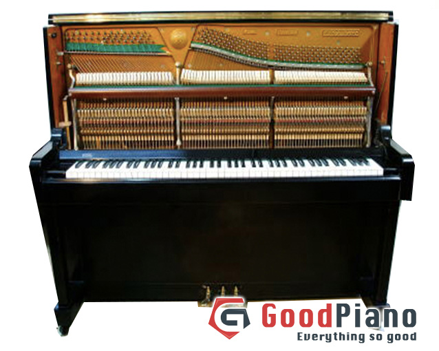 Đàn Piano Earl Windsor W112