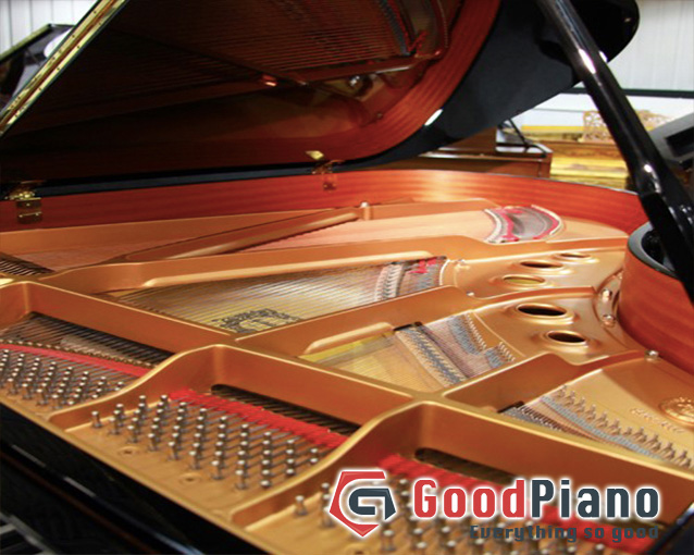 Đàn Grand Piano Yamaha C Series-C5 - Piano cơ