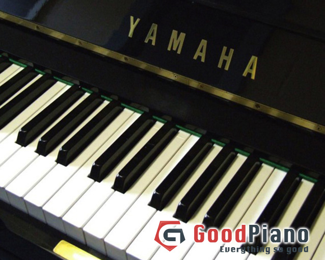 Đàn Piano Yamaha U1G