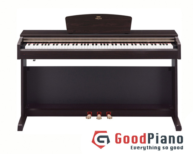 Đàn Piano Điện YAMAHA YDP-161